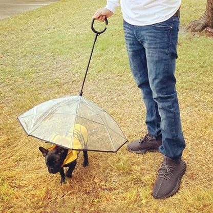 Dog Umbrella - Mi tienda