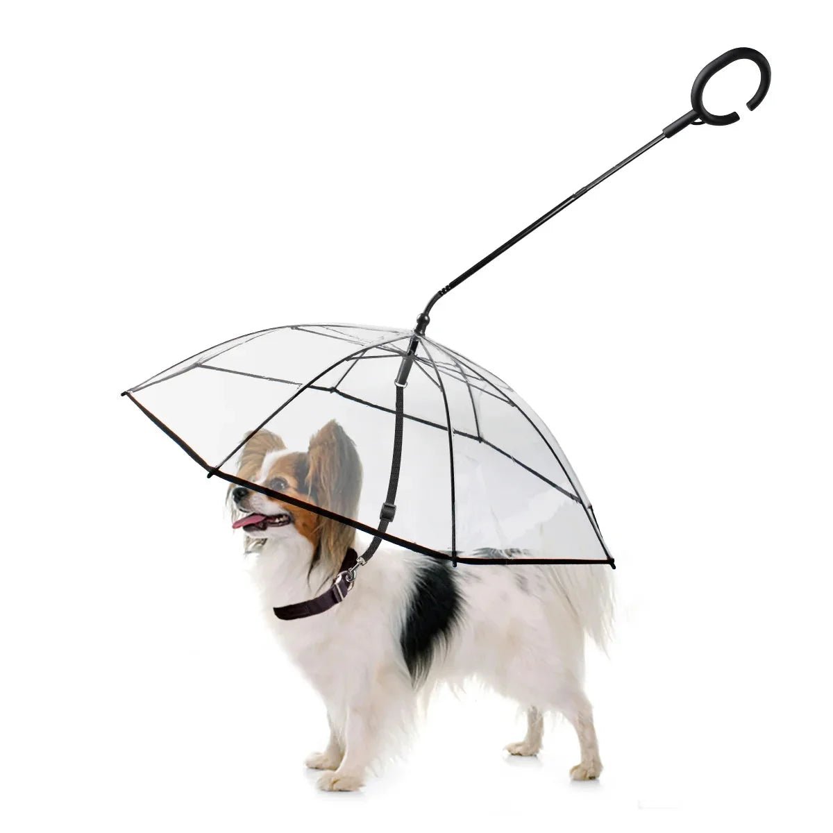 Dog Umbrella - Mi tienda